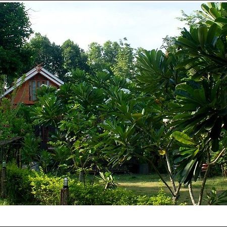 Phuphiangkhiangfah Resort Nan Pokój zdjęcie